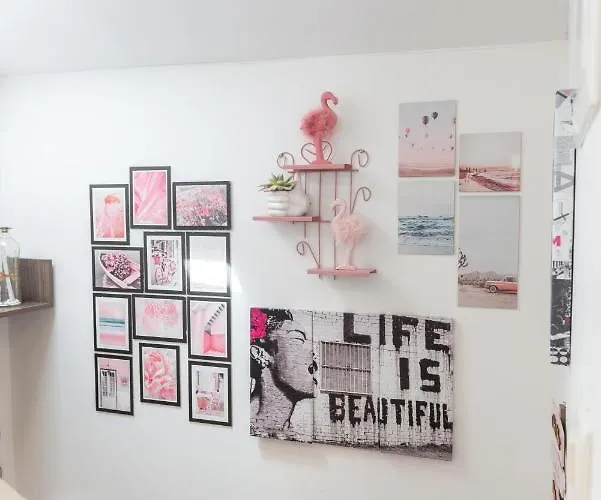 Mango & Tango * 두브로브니크