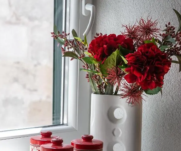 Mango & Tango 아파트 *